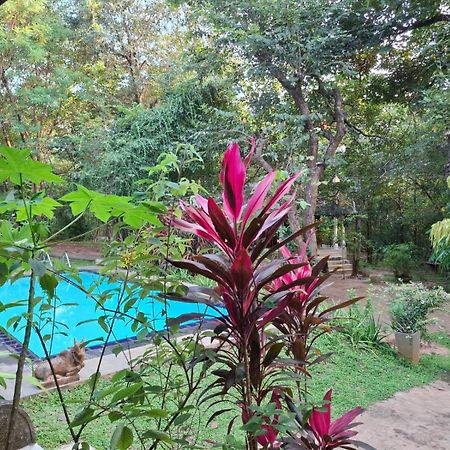 Villa Habarana Exterior foto