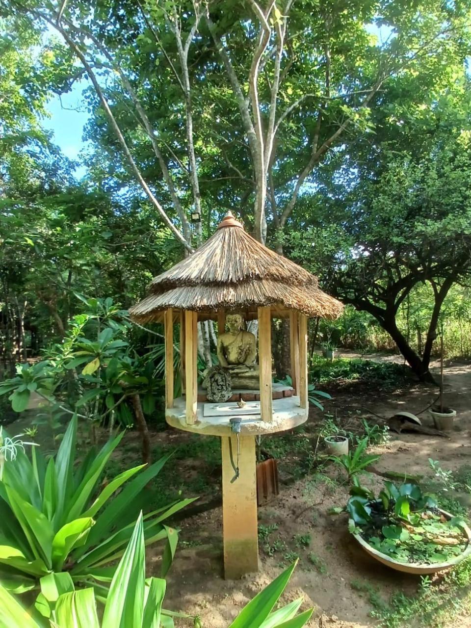Villa Habarana Exterior foto